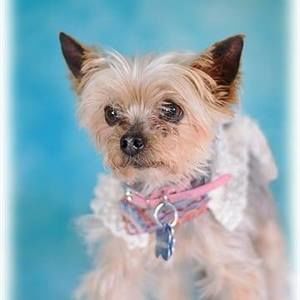 Meet your Posher, Tammy